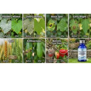 Blue Snow Fungicide | 250ml