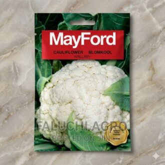 Cauliflower Seeds (Wallaby 2g) premium vegetable seeds for home gardening and commercial farming in Lagos Nigeria displayed in seed packet ready for planting and healthy harvests.