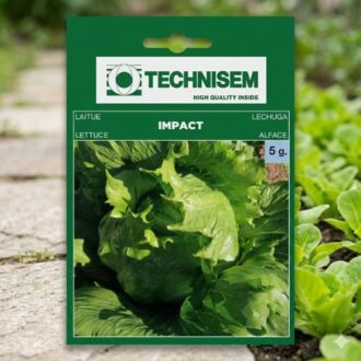 Technisem Lettuce Seed 5g packet for healthy vegetable farming and fast lettuce germination in Nigeria