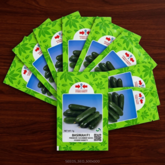 Basimah F1 premium hybrid cucumber seeds in green packets displayed on a dark wooden surface.