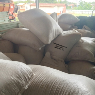 Pile of 50kg woven sacks of premium wheatoffal in a warehouse.